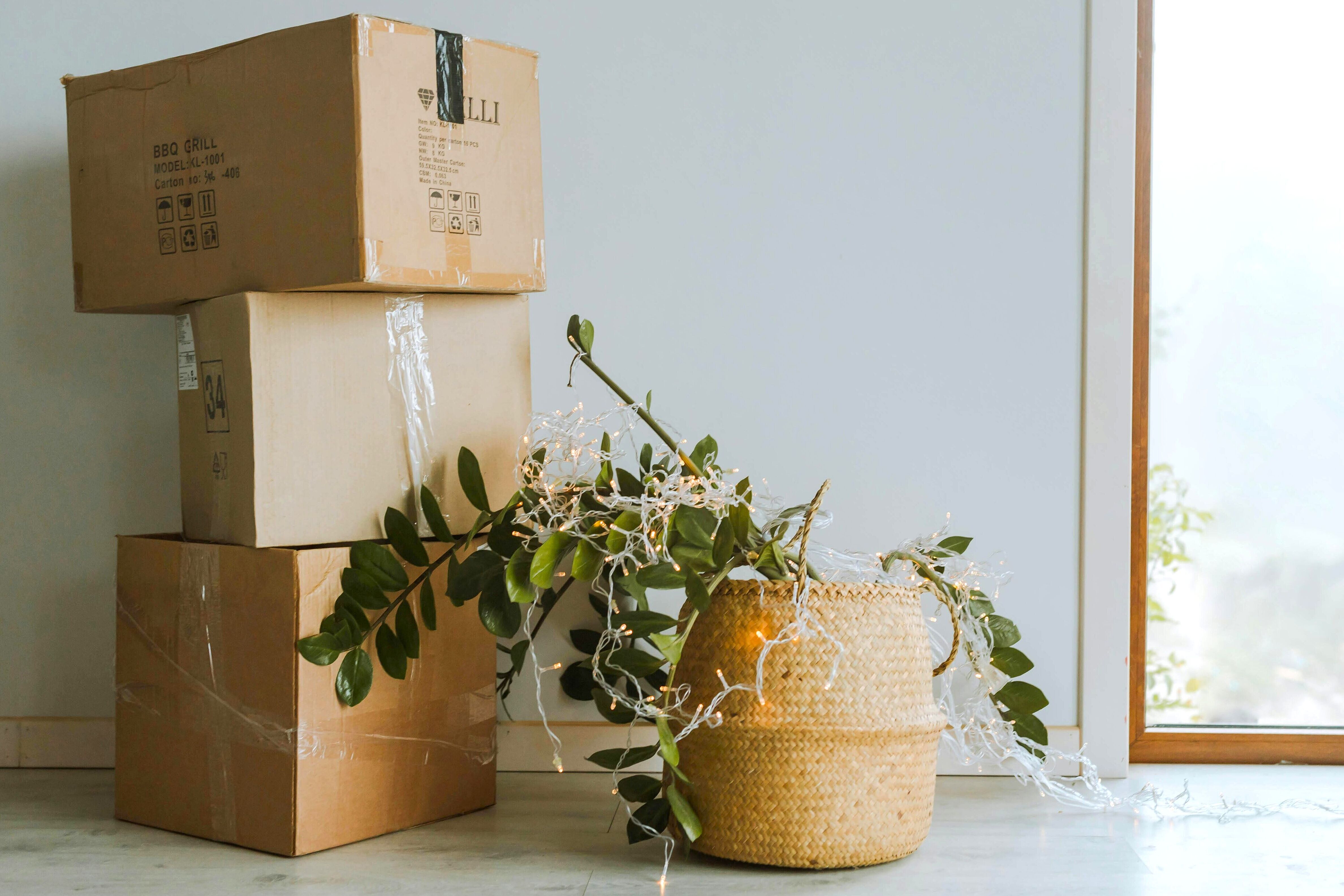 Stapel Umzugskartons und eine Pflanze