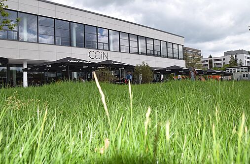 CGiN Rasenfläche und Terrasse