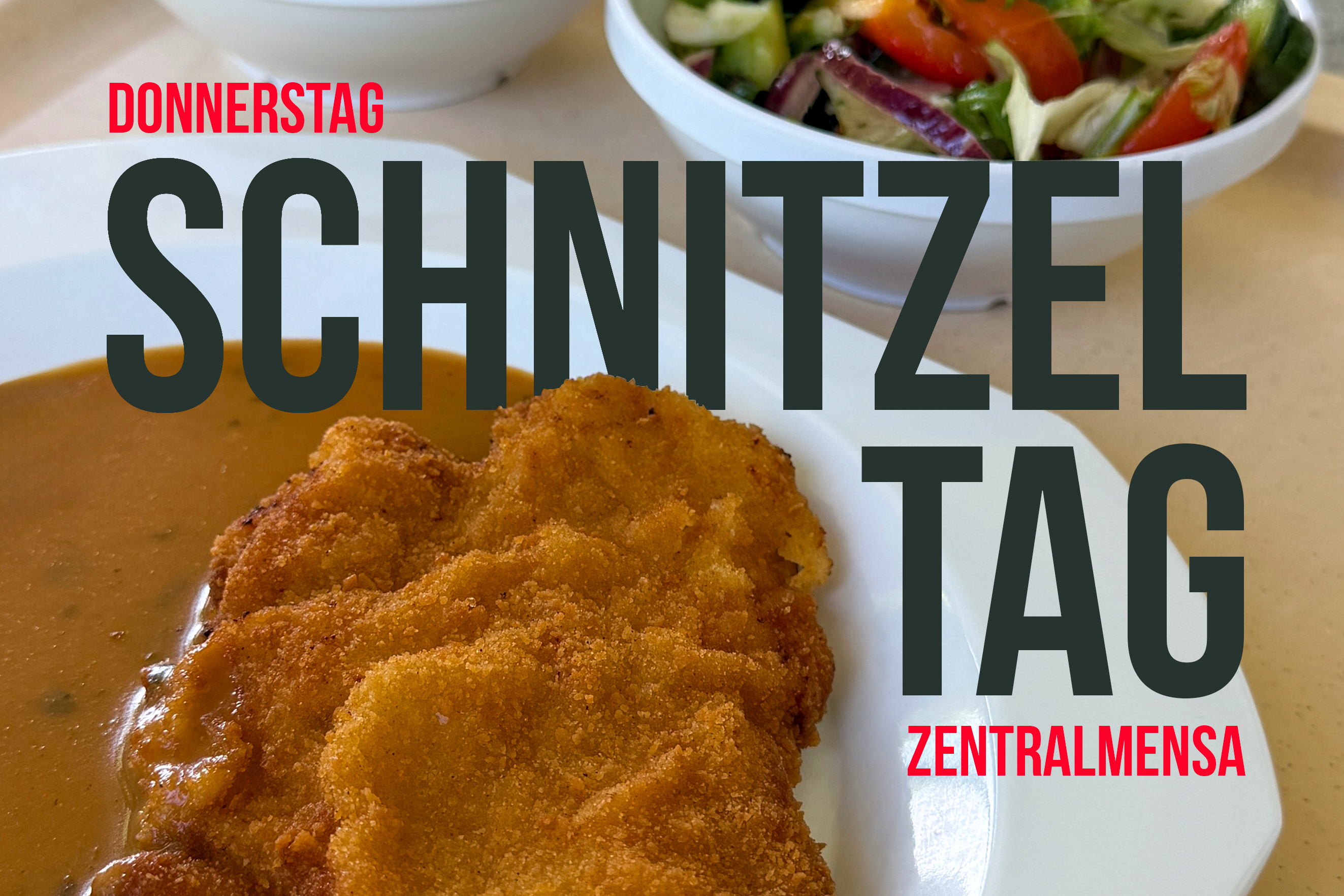 Schnitzel in Soße auf einem Teller, Beschriftung Donnerstag Schnitzeltag Zentralmensa