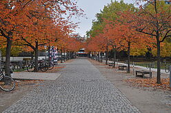 Farbenfroher Herbst auf dem Zentralcampus